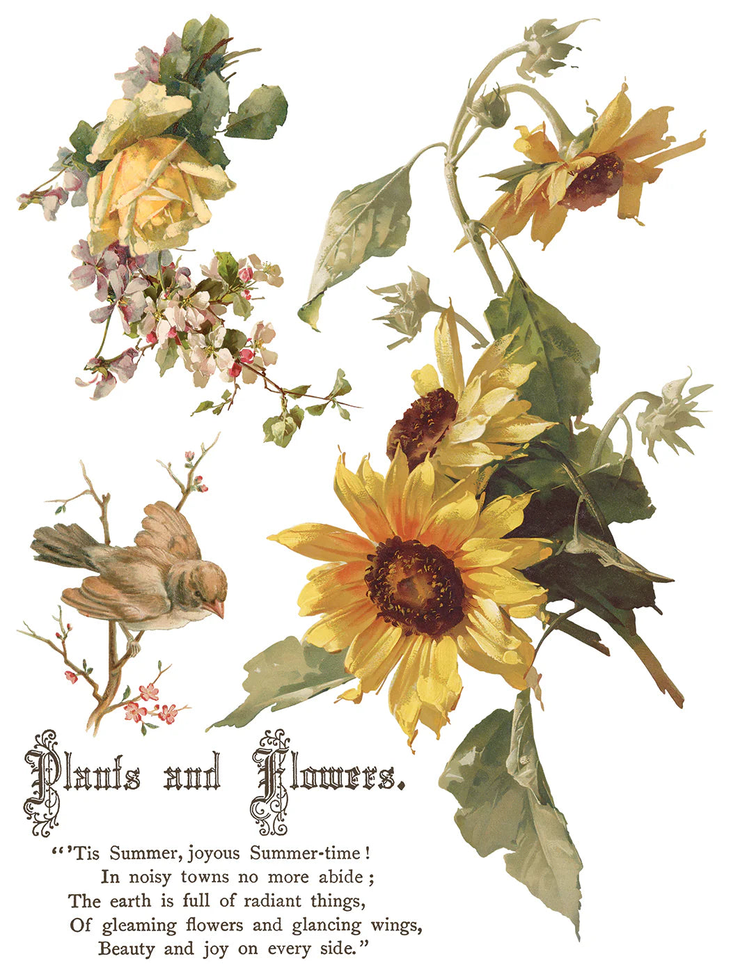 Flowers By the Poets - 8 Sheet, 12x16 Pad IOD Decor Transfer™ 2026