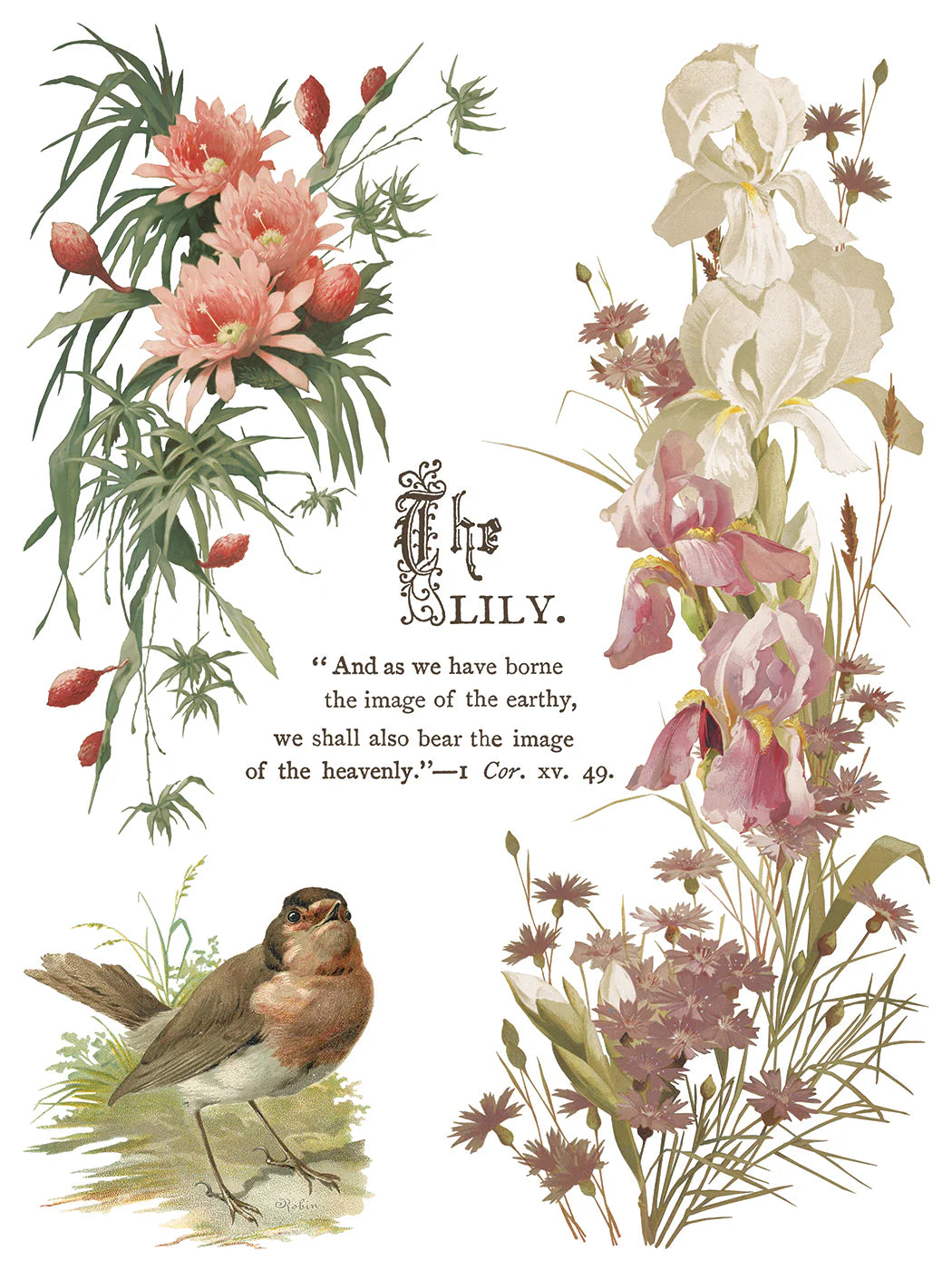 Flowers By the Poets - 8 Sheet, 12x16 Pad IOD Decor Transfer™ 2026