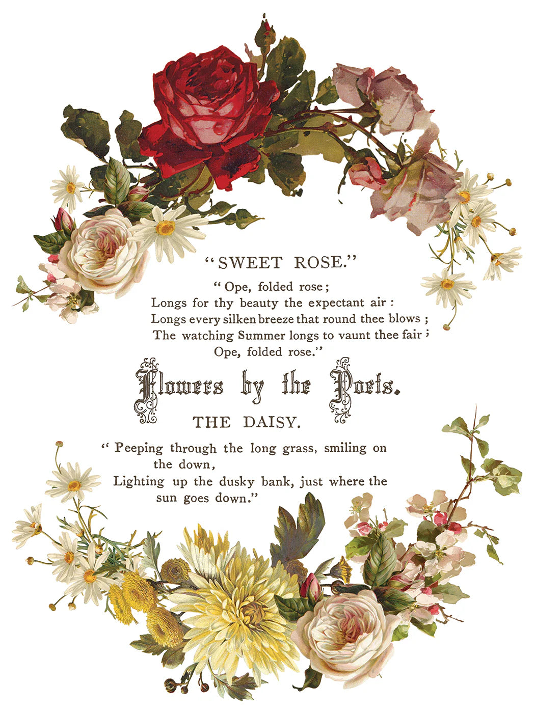 Flowers By the Poets - 8 Sheet, 12x16 Pad IOD Decor Transfer™ 2026