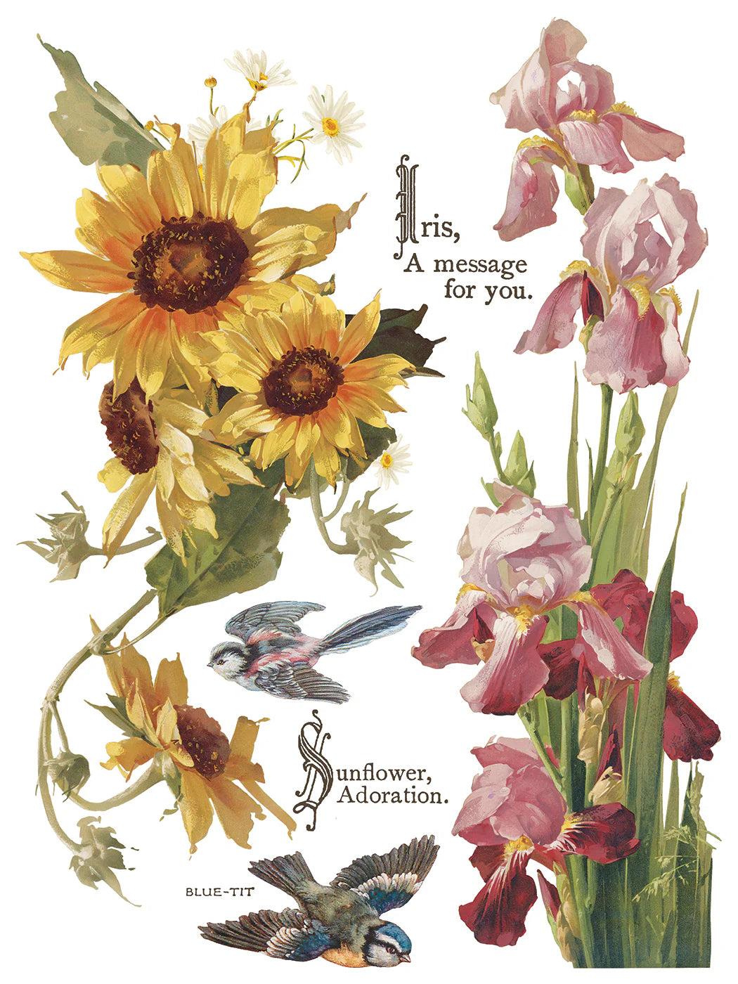 Flowers By the Poets - 8 Sheet, 12x16 Pad IOD Decor Transfer™ 2026