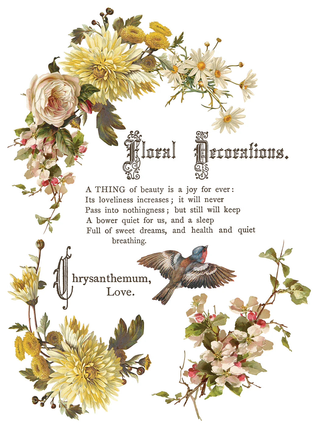 Flowers By the Poets - 8 Sheet, 12x16 Pad IOD Decor Transfer™ 2026