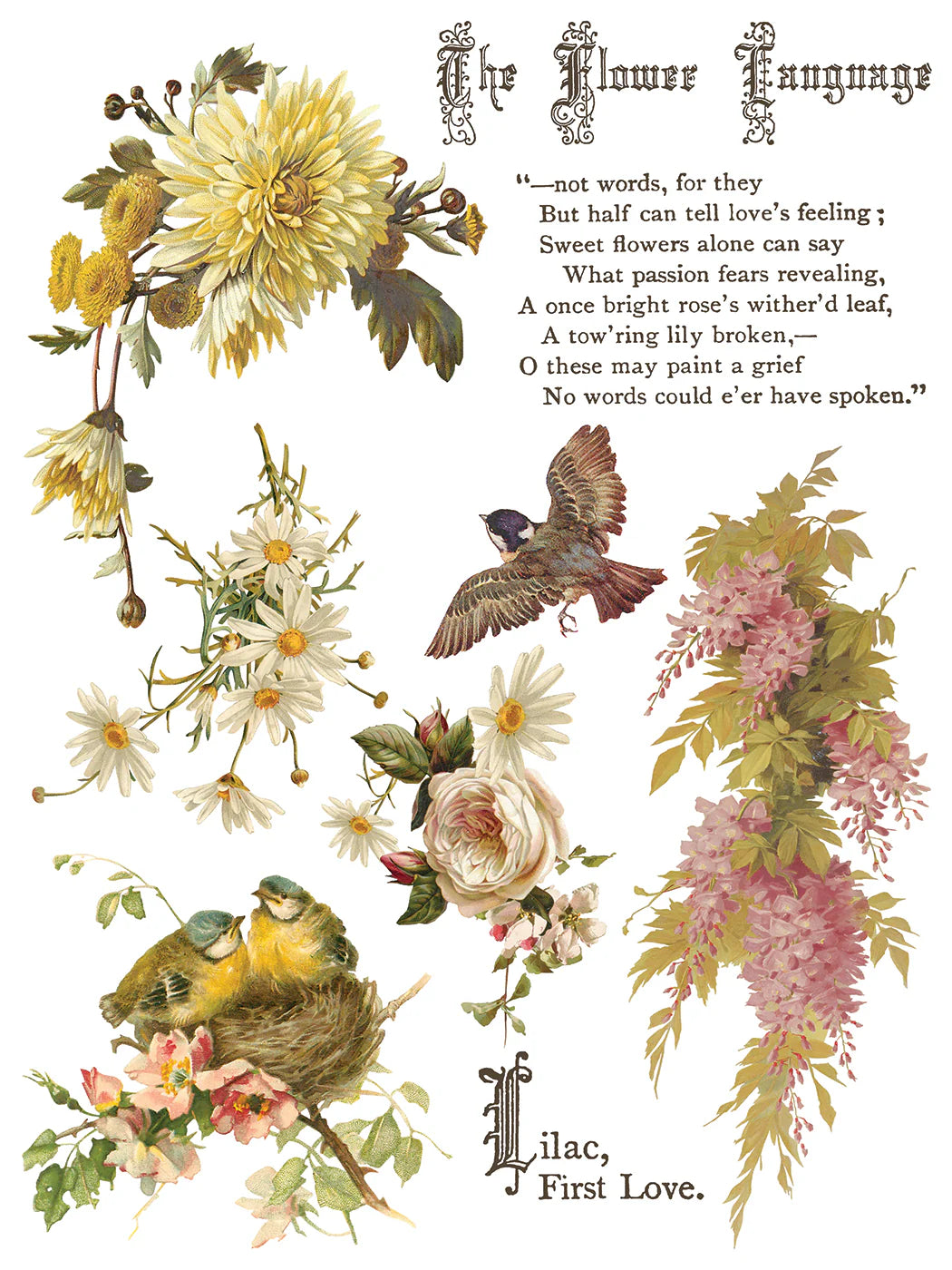 Flowers By the Poets - 8 Sheet, 12x16 Pad IOD Decor Transfer™ 2026