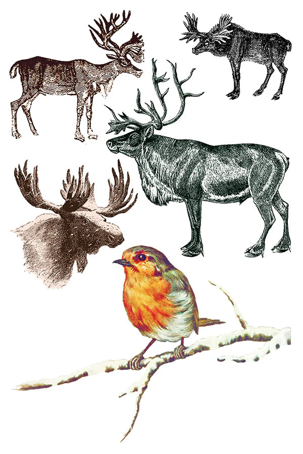 Figgy Pudding - 8 Sheet, 8x12 Pad IOD Decor Transfer™ 2021