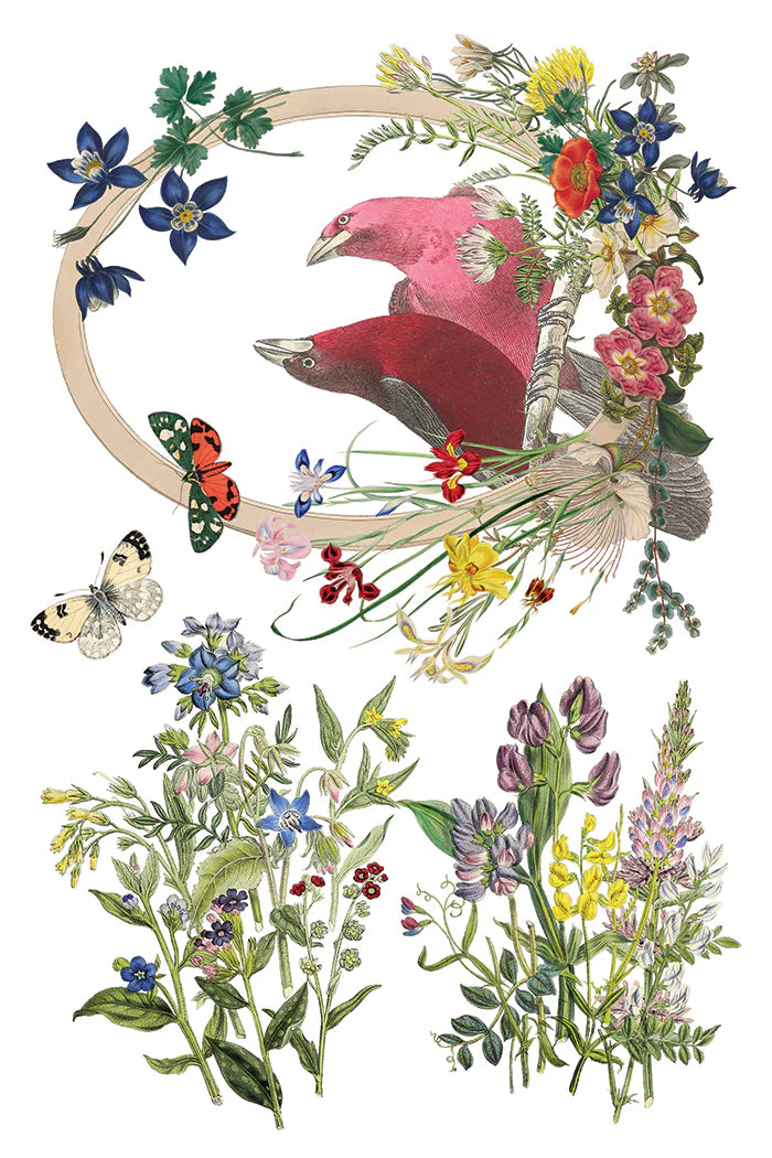 Flora Greca - 8 Sheet, 8x12 Pad IOD Decor Transfer™ 2026