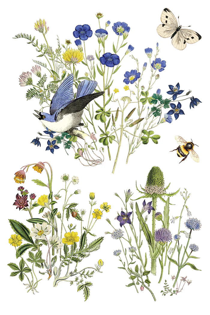 Flora Greca - 8 Sheet, 8x12 Pad IOD Decor Transfer™ 2026