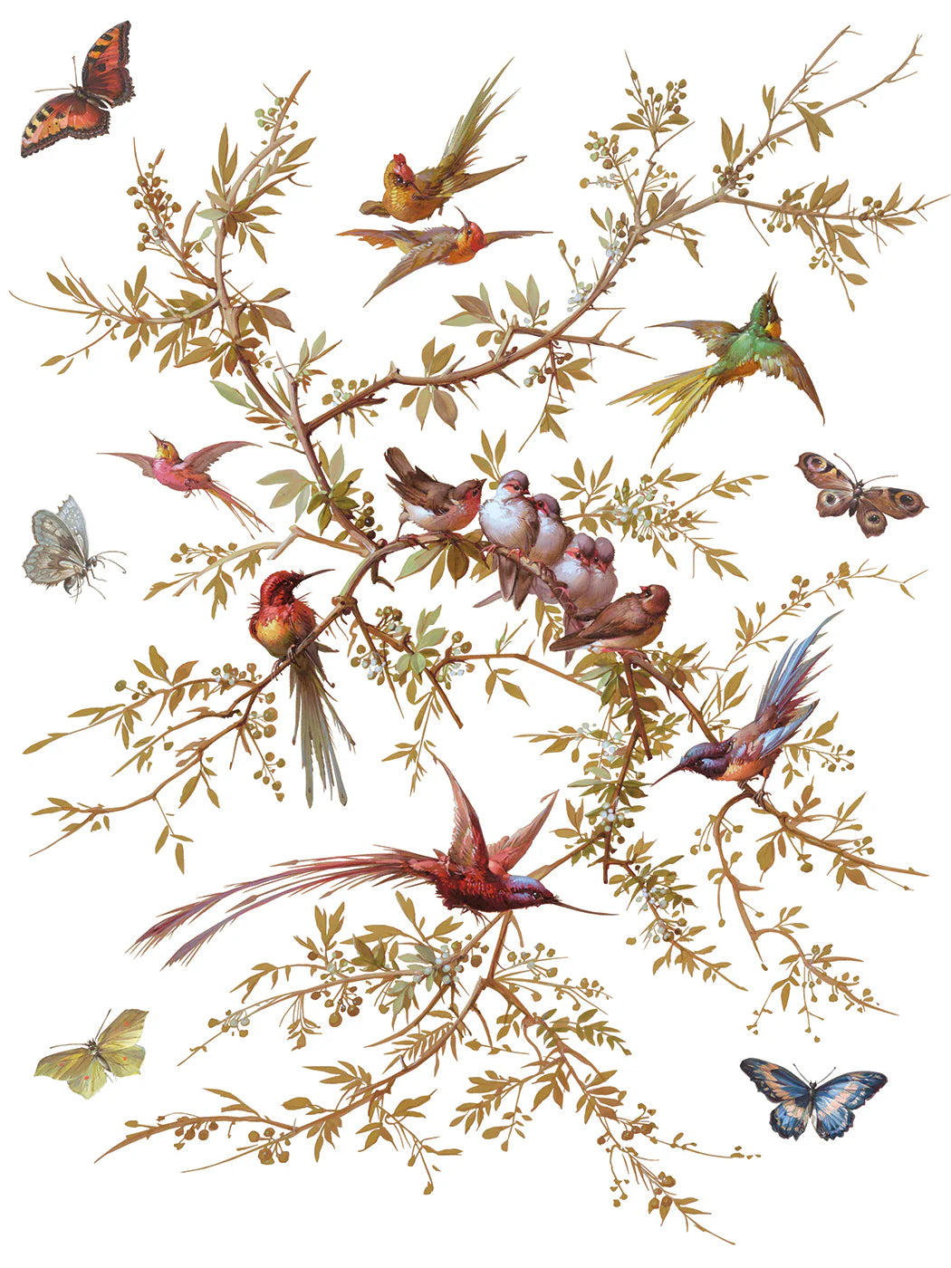 Madeleine - 8 Sheet, 12x16 Pad IOD Decor Transfer™ 2026