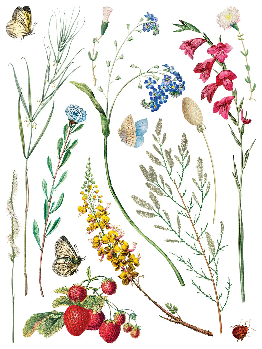 Marche' Des Fleurs - 8 Sheet, 12x16 Pad IOD Decor Transfer™ 2026