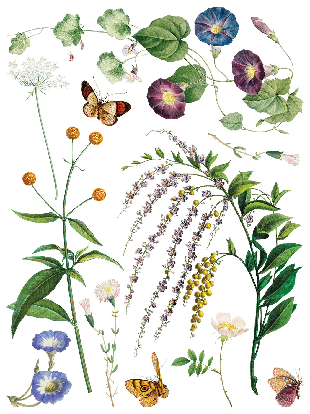 Marche' Des Fleurs - 8 Sheet, 12x16 Pad IOD Decor Transfer™ 2026