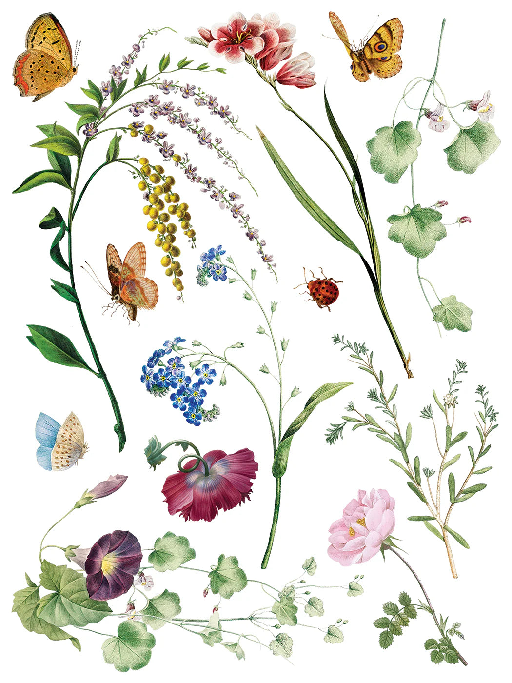 Marche' Des Fleurs - 8 Sheet, 12x16 Pad IOD Decor Transfer™ 2026