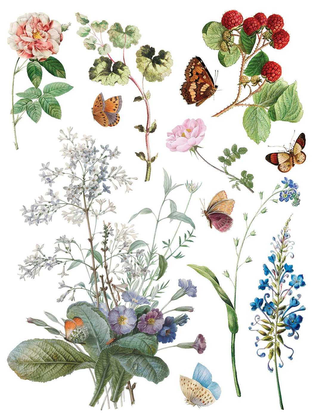 Marche' Des Fleurs - 8 Sheet, 12x16 Pad IOD Decor Transfer™ 2026