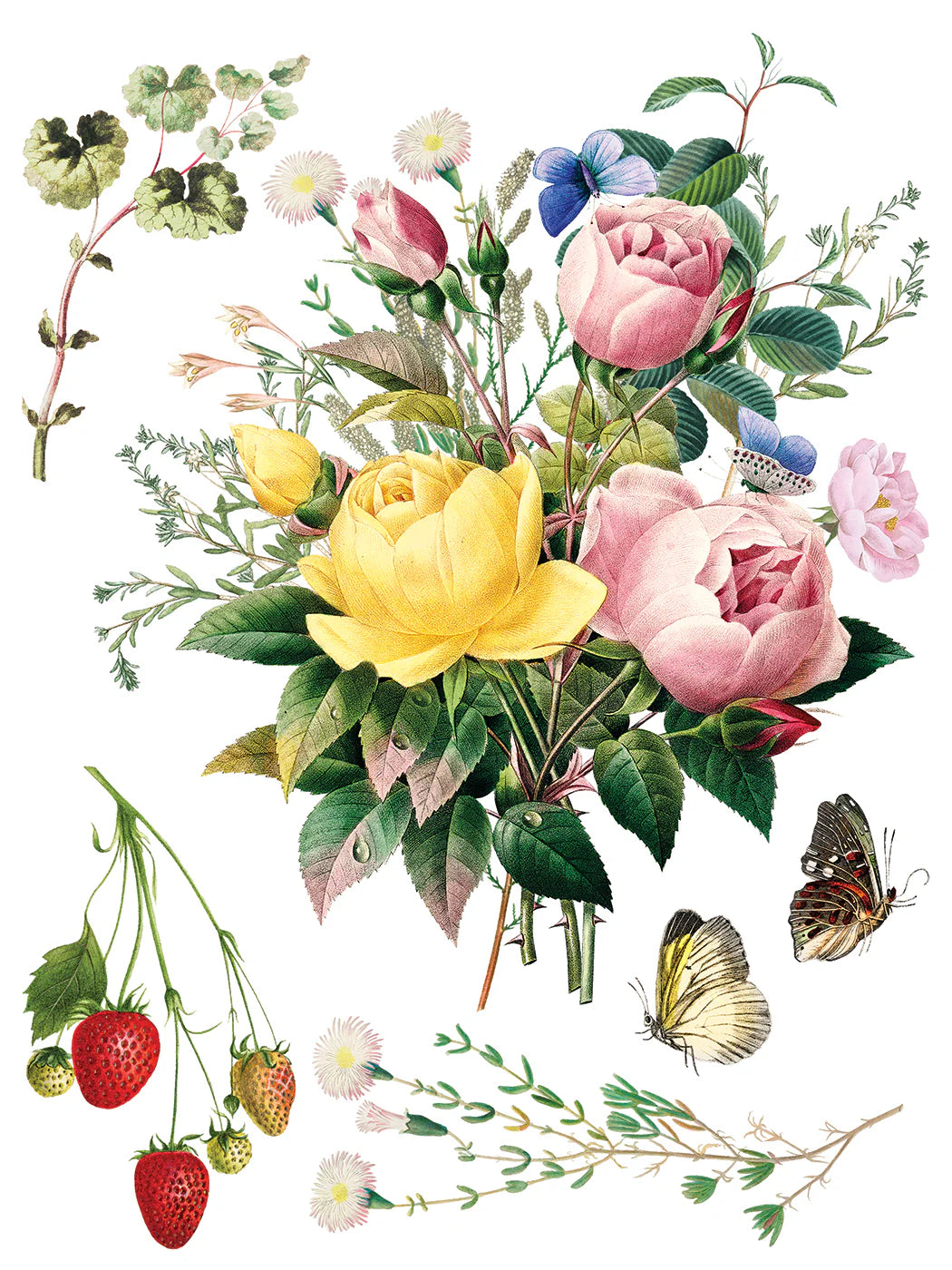 Marche' Des Fleurs - 8 Sheet, 12x16 Pad IOD Decor Transfer™ 2026