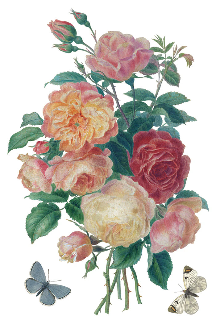 Saint Ouen - 8 Sheet, 8x12 Pad IOD Decor Transfer™ 2026