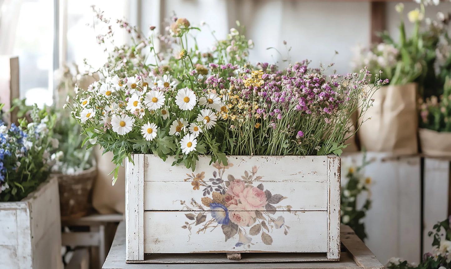 Saint Ouen - 8 Sheet, 8x12 Pad IOD Decor Transfer™ 2026