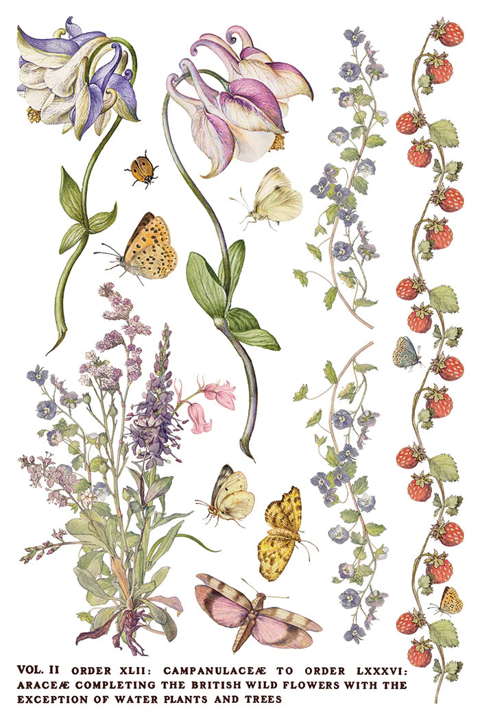 Primrose Isle - 8 Sheet, 8x12 Pad IOD Decor Transfer™ 2026