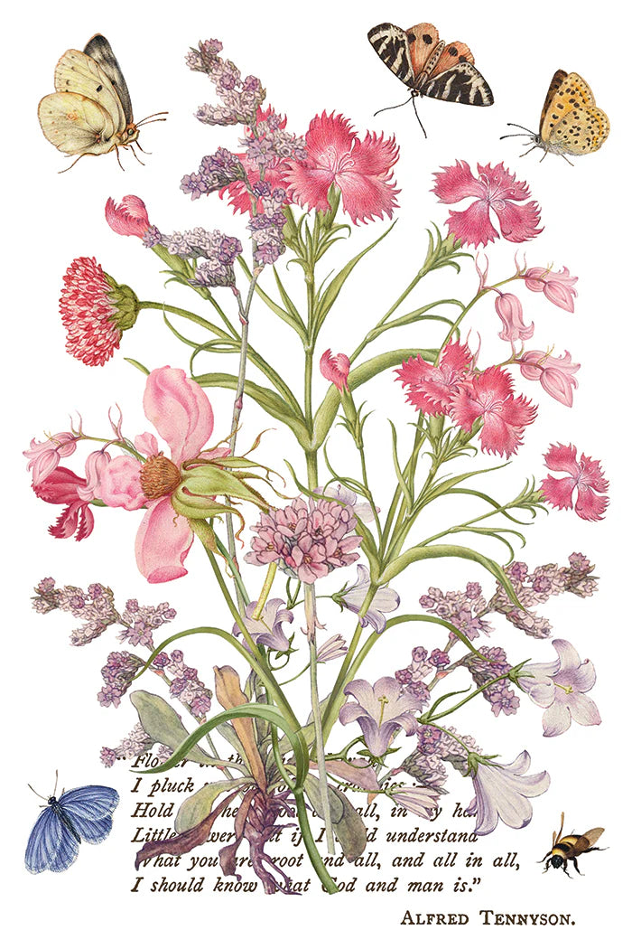 Primrose Isle - 8 Sheet, 8x12 Pad IOD Decor Transfer™ 2026