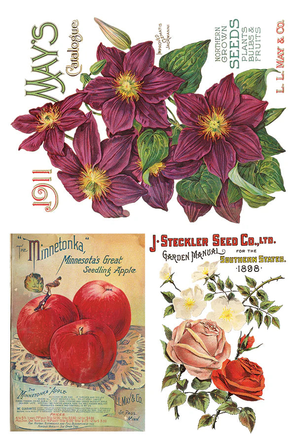 Seed Catalogue - 8 Sheets, 8x12 Pad IOD Decor Transfer™