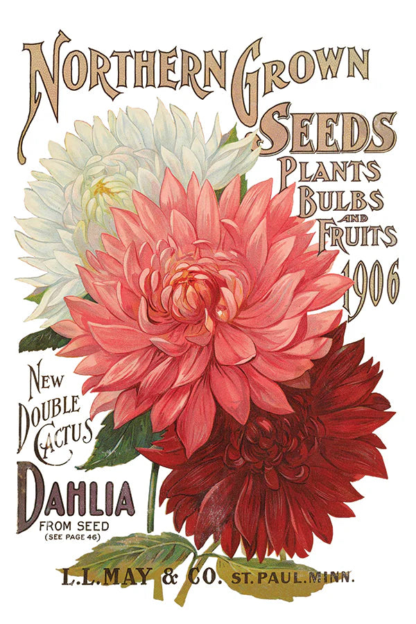 Seed Catalogue - 8 Sheets, 8x12 Pad IOD Decor Transfer™