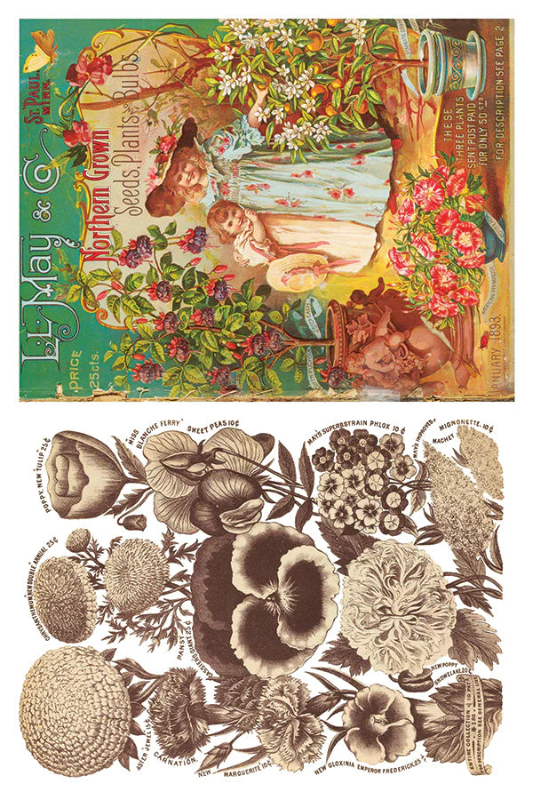 Seed Catalogue - 8 Sheets, 8x12 Pad IOD Decor Transfer™