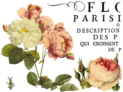 Flora Parisiensis - 4 Sheet, 12x16 Pad IOD Decor Transfer™ 2018