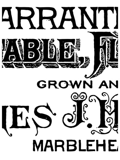 Gregory's Catalogue - 8 Sheet - IOD Paint Inlay™