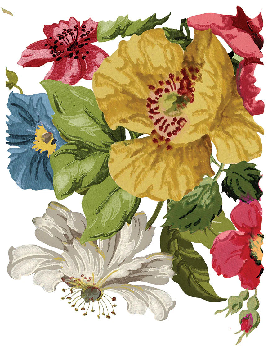 Wall Flower - 8 Sheets, 12x16 Pad IOD Decor Transfer™