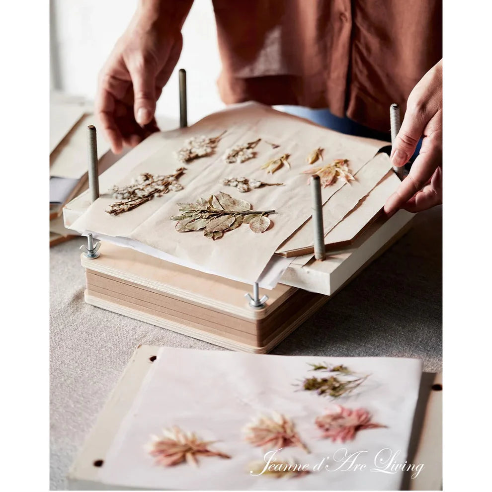 Jeanne D' Arc Living Magazine - 2025 Issue 7