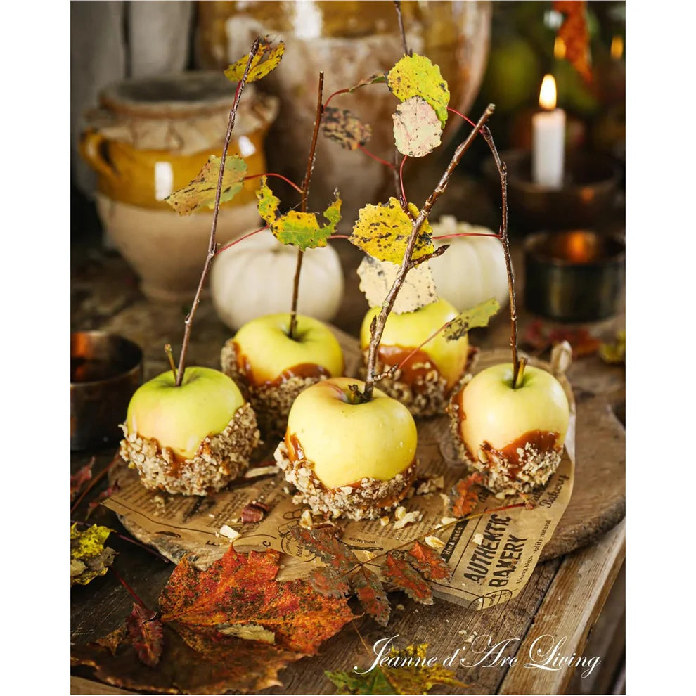 Jeanne D' Arc Living Magazine - 2025 Issue 7