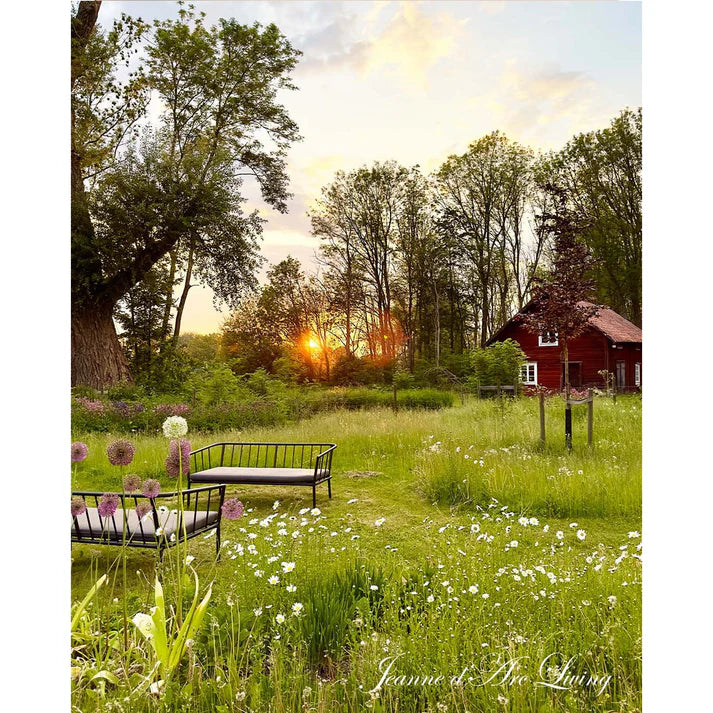 Jeanne D' Arc Living Magazine - 2025 Issue 5