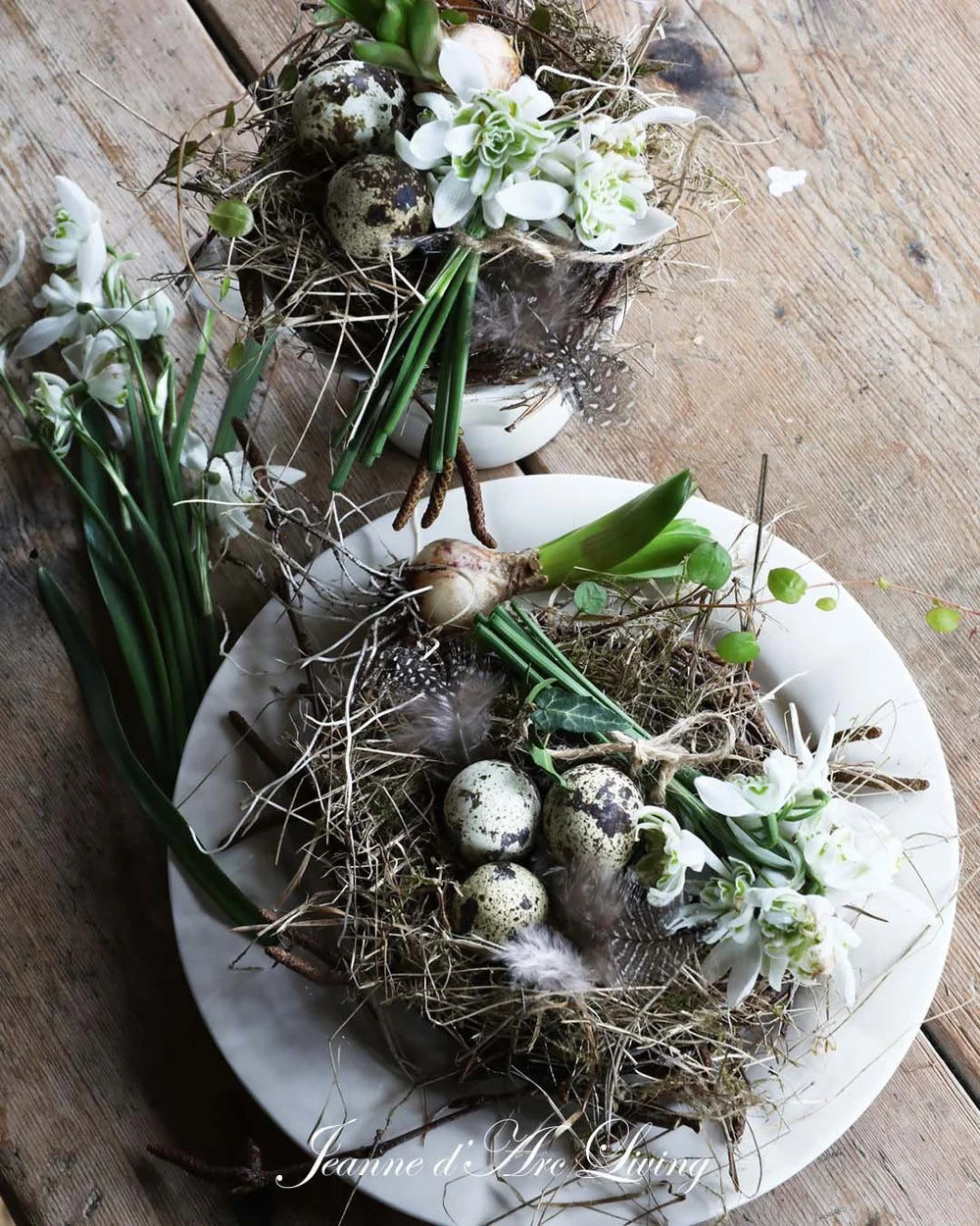 Jeanne D' Arc Living Magazine - 2026 Issue 2