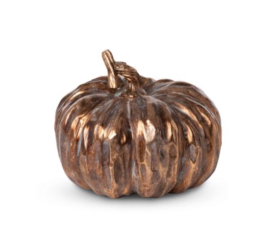 Bronzed Heirloom Pumpkin - Small