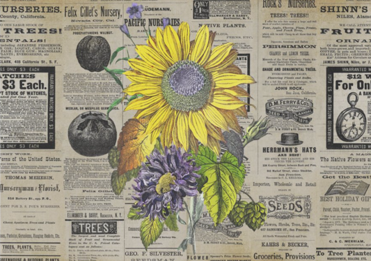 Vintage Sunflower Ephemera - 10 x 14 Decoupage Tissue