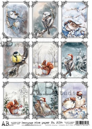 Bird Cards 2054 - A4 8.3 x 11.7 Rice Paper by AB Studio