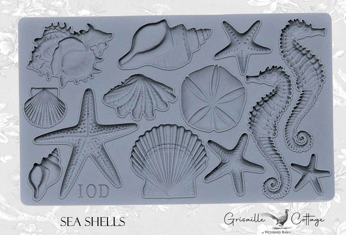 Sea Shells ~ IOD Decor Mould