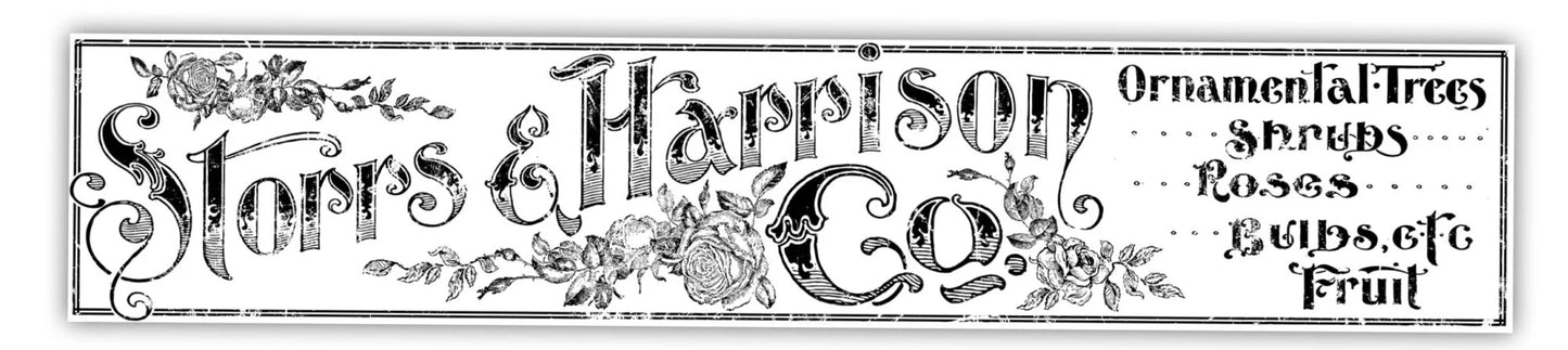 Storrs & Harrison - IOD Decor Transfer™ 2018