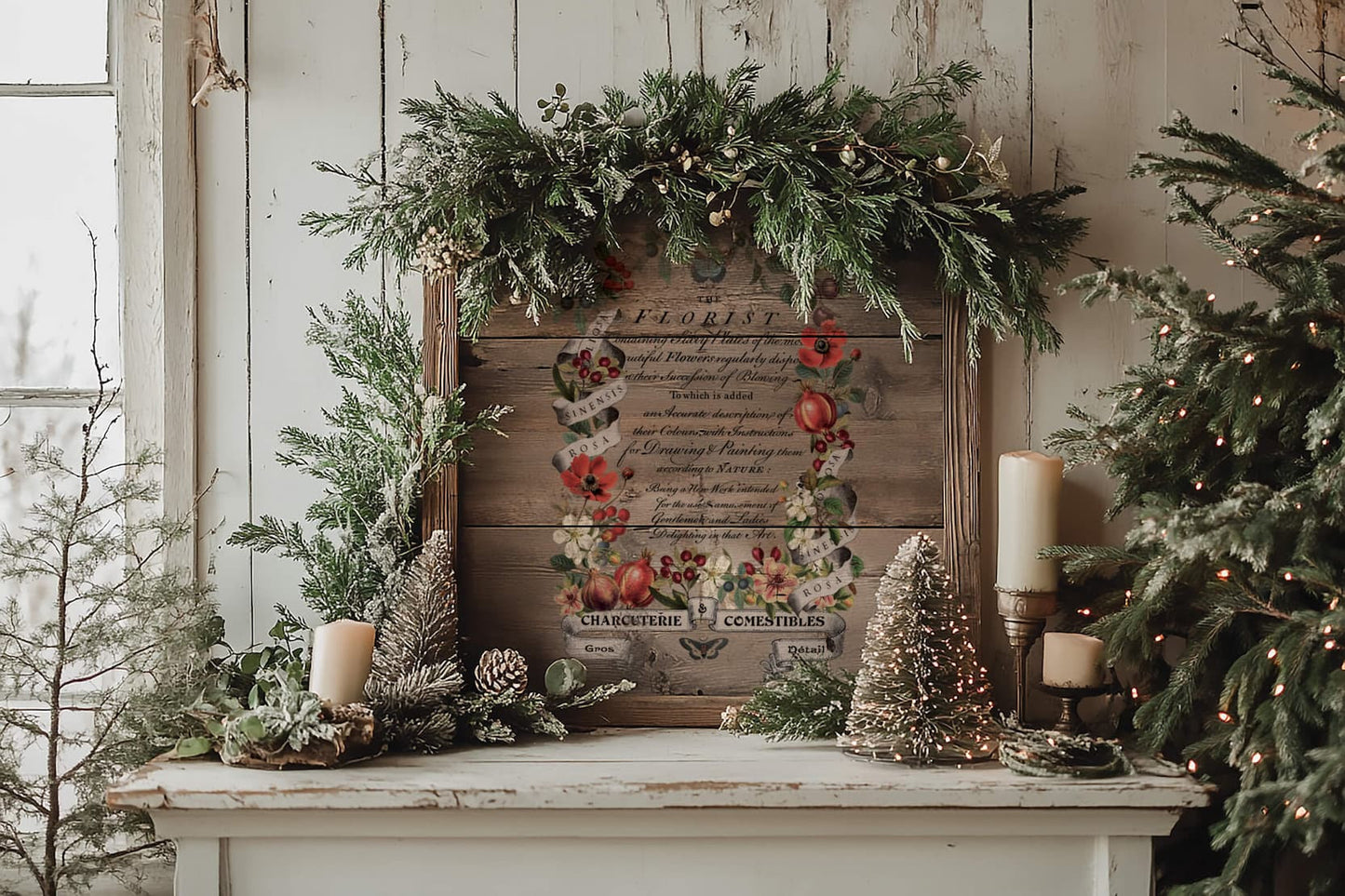 Clementine - 8 Sheet, 8x12 Pad IOD Decor Transfer™