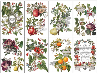 Clementine - 8 Sheet, 8x12 Pad IOD Decor Transfer™