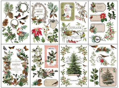 Winter Botanist - 8 Sheet, 8x12 Pad IOD Decor Transfer™