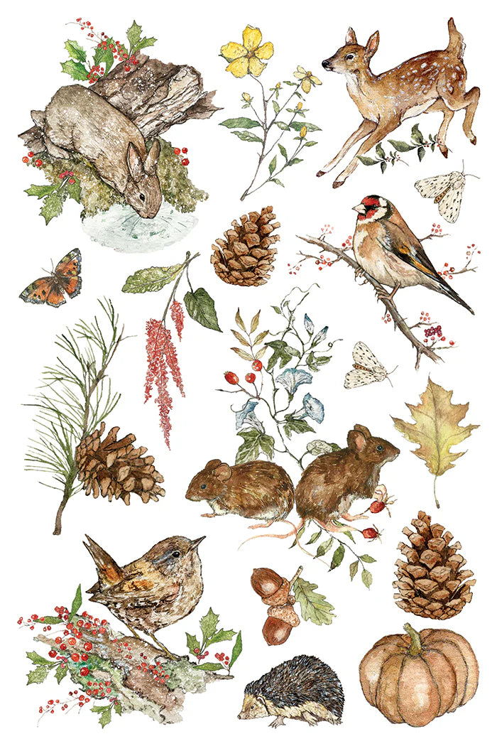 The Bramblewoods Diary - 8 Sheet, 8x12 Pad IOD Decor Transfer™ 2026