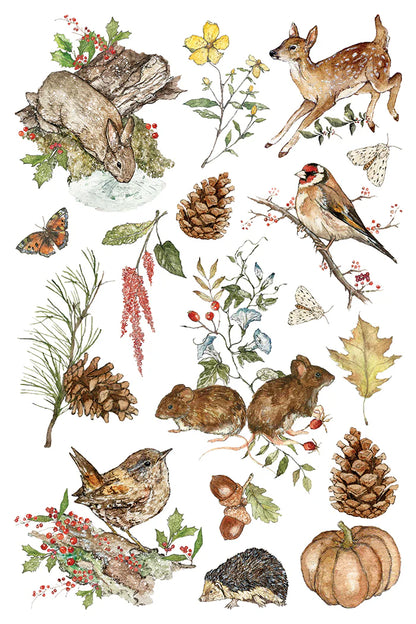 The Bramblewoods Diary - 8 Sheet, 8x12 Pad IOD Decor Transfer™ 2026