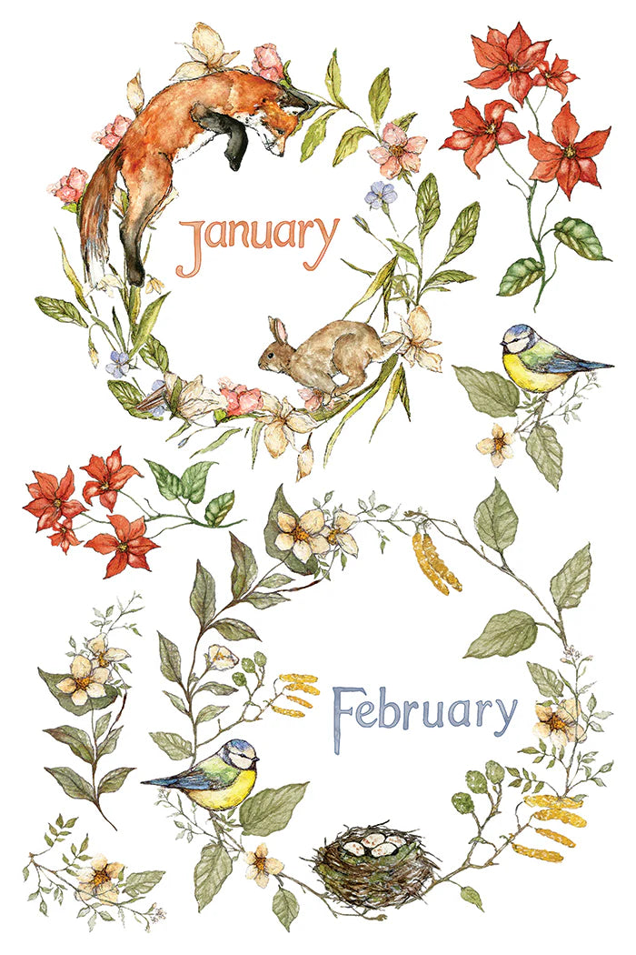 The Bramblewoods Diary - 8 Sheet, 8x12 Pad IOD Decor Transfer™ 2026