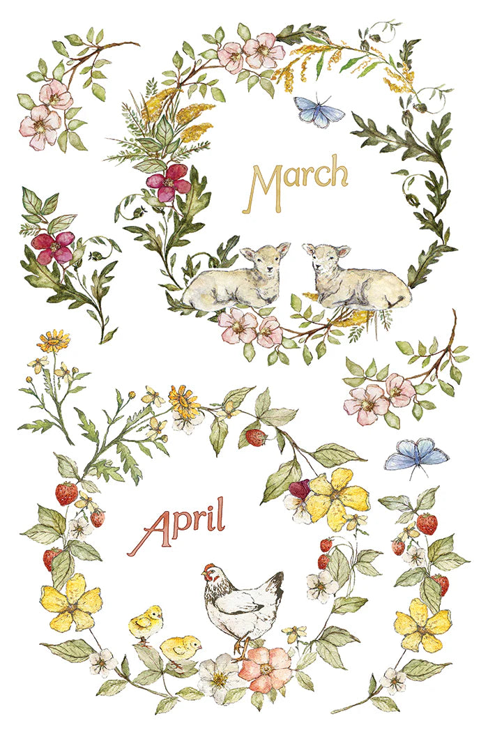 The Bramblewoods Diary - 8 Sheet, 8x12 Pad IOD Decor Transfer™ 2026