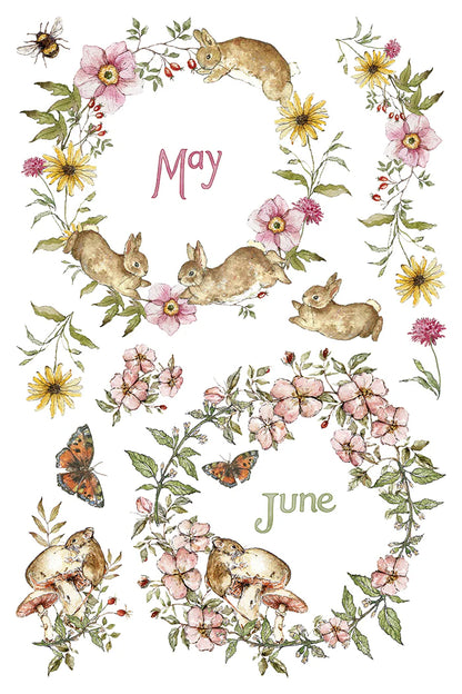 The Bramblewoods Diary - 8 Sheet, 8x12 Pad IOD Decor Transfer™ 2026