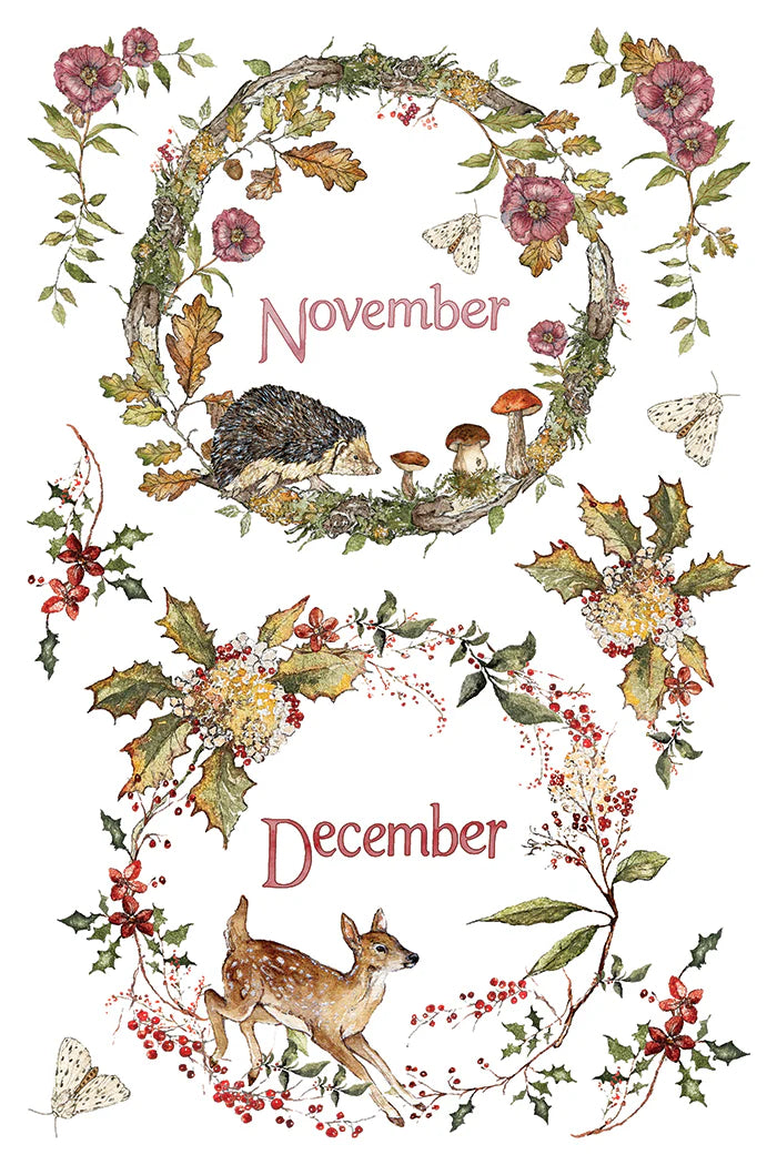 The Bramblewoods Diary - 8 Sheet, 8x12 Pad IOD Decor Transfer™ 2026
