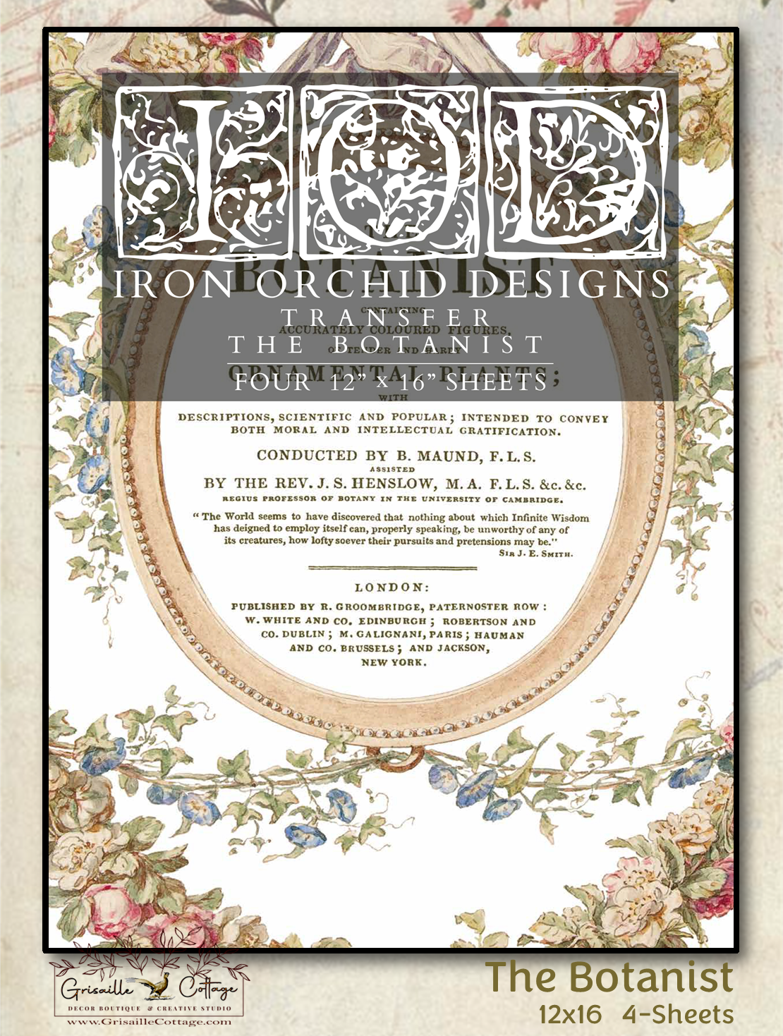 The Botanist -  4 Sheets, 12x16 Pad IOD Decor Transfer RETIRED