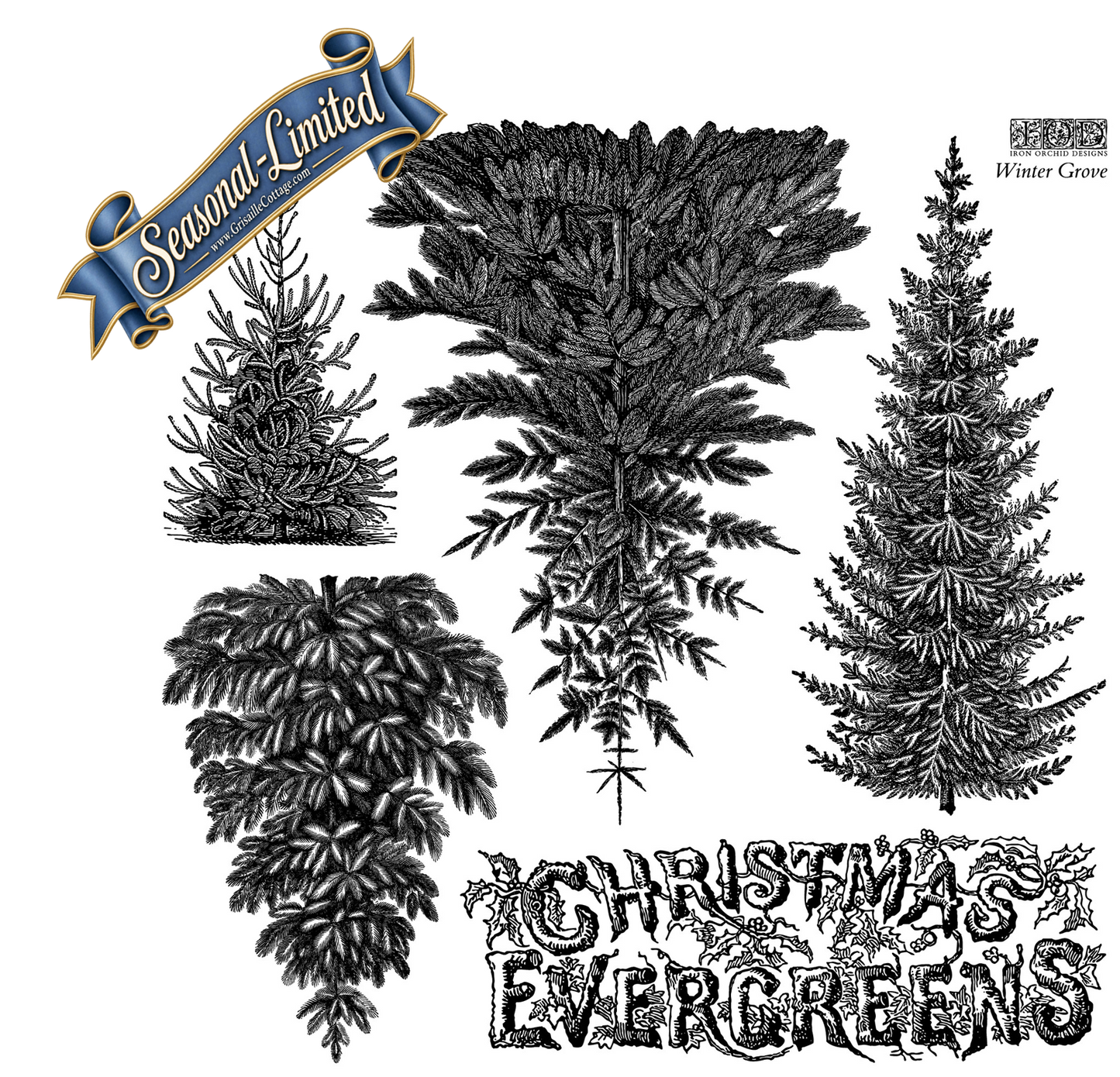 Winter Grove - IOD Decor Stamp 2026