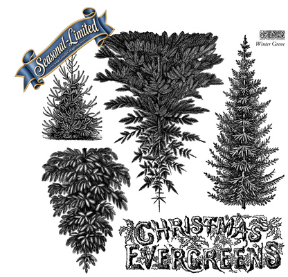 Winter Grove - IOD Decor Stamp 2026