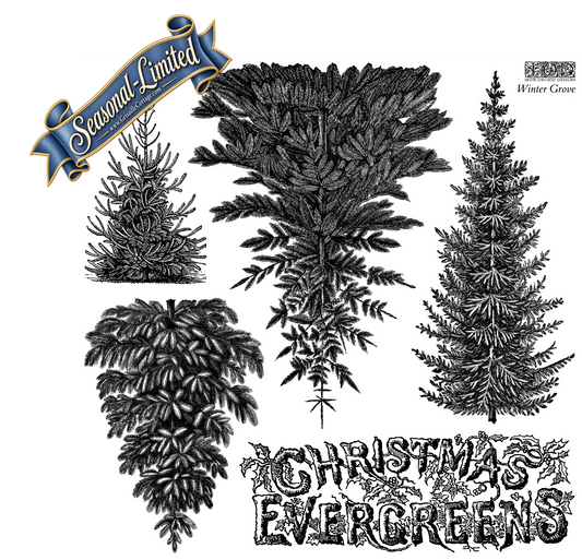 Winter Grove - IOD Decor Stamp 2026