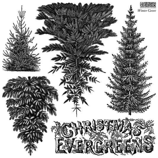 Winter Grove - IOD Decor Stamp 2026