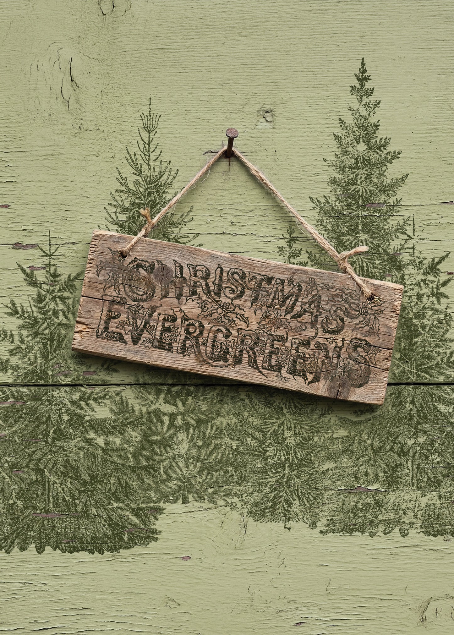 Winter Grove - IOD Decor Stamp 2026
