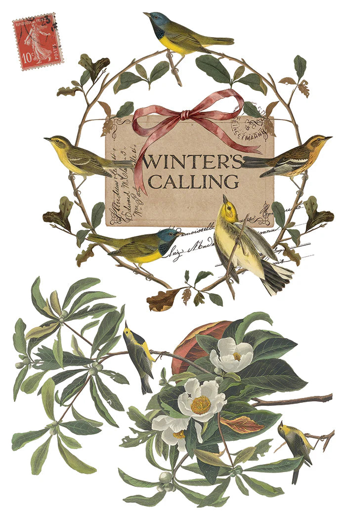 Winter's Calling - 8 Sheet, 8x12 Pad IOD Decor Transfer™ 2026 Limited